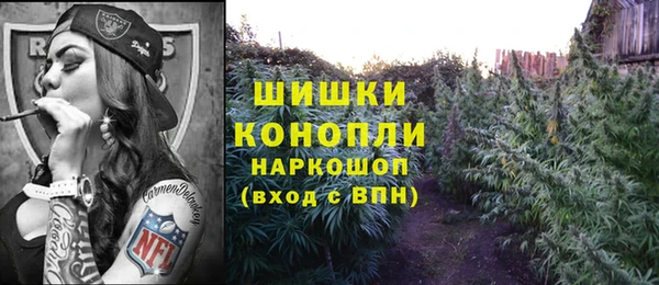 тгк Протвино