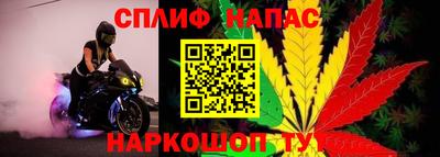 спайс Пугачёв