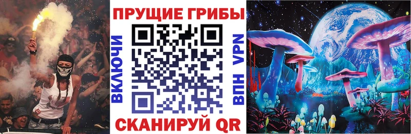 Псилоцибиновые грибы прущие грибы  купить закладку  Новотроицк 